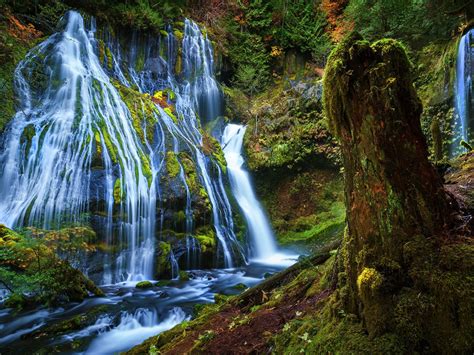 Beautiful Scenery Panther Creek Falls Washington Usa