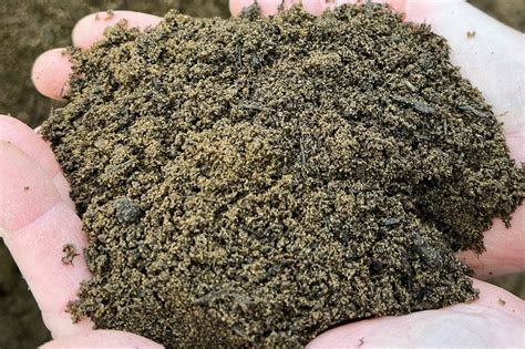 Premium Multi Blend Soil Sandy Loam Soil Premium Topsoil Supplies