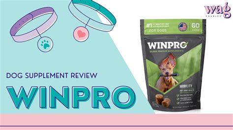 Best Joint Supplements For Dogs Winpro Supplements For Dogs Youtube
