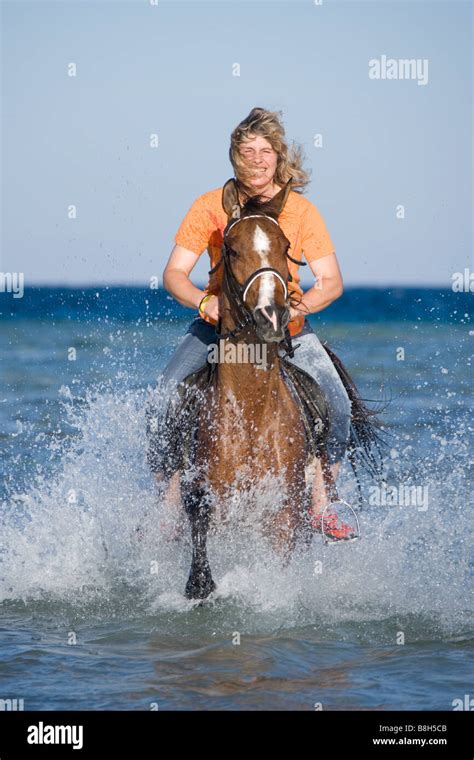 Rider On Arabian Horse Riding Through Water Stock Photo Alamy