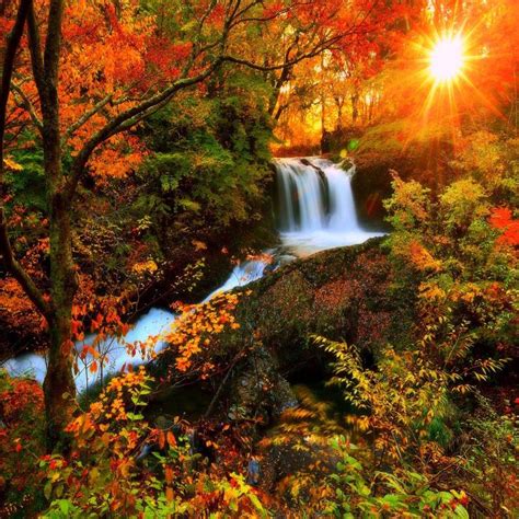 Autumn Waterfall Wallpaper By Luckyman Ac Free On Zedge