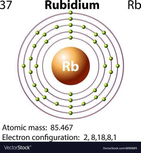 Symbol And Electron Diagram For Rubidium Vector Image