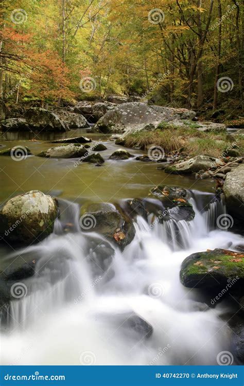 Smoky Mountain Fall Stream Stock Photo Image Of Life 40742270