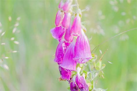 Ich wäre auch mit dem letzten platz zufrieden. Ingezonden foto's 2021-03 maart "Sfeerbeeld" - Natuurfocus