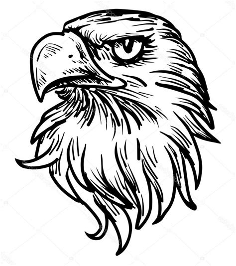 Eagle black and white clip art embed this art into your website comments. eagle head clipart black and white 20 free Cliparts ...