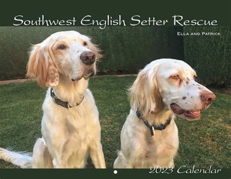 Southwest English Setter Rescue 2023 Calendar Fundraising