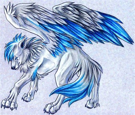 Winged Wolf Fantasy Wolf Anime Wolf Wolf Drawing