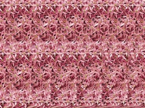 Stereogram Images This Is A Naked Woman Made Out Of Pink Flowers