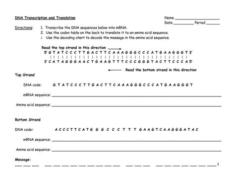 When the protein is completed, write the sequence of amino acids shown, there are 11. Translation transcription worksheet biology high school ...