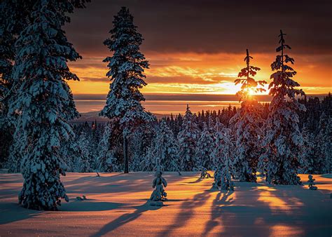 Winter Sunset Forest 1 Photograph By Wiktor Borozdin Fine Art America