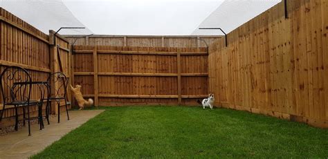 Cat Proof Fence Barriers Cat Fence And Catio Specialists Sanctuary Sos