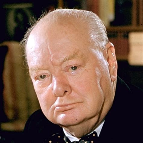 Winston Churchill In A Glance Blogposthub