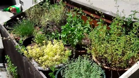 A Small Herb Garden Youtube