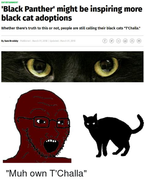 Entertainment Black Cat Adoptions Whether Theres Truth To This Or Not People Are Still Calling