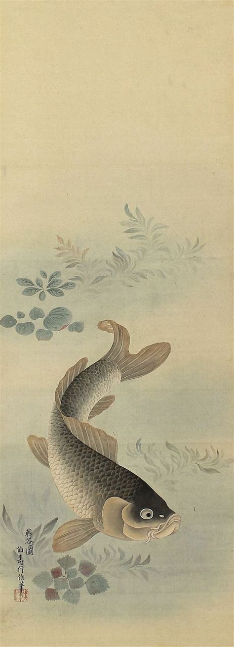 A swimming Koi fish or carp. Painted with ink and pigments on silk