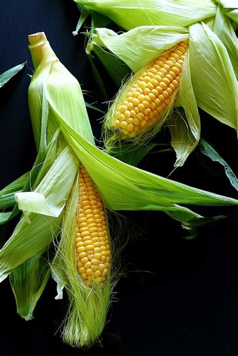 10 Common Examples Of Genetically Modified Food Buzz 2018