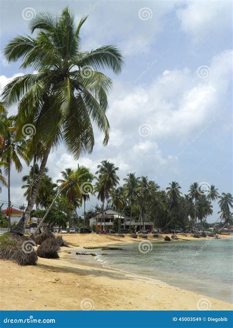 República Dominicana De La Playa Del Caribe De Los Terrenas De Las Imagen De Archivo Imagen De