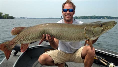 An informal name for the muskellunge. Tonka Muskies | MuskieFIRST