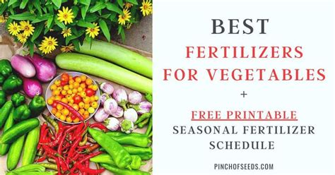 Best Vegetable Fertilizers Printable Chart Vegetable Garden