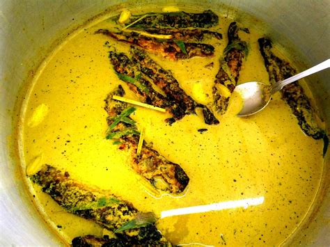 Ikan keli masak lemak daun kaduk yang sedap dan wangi. Masak Lemak Cili Padi Batang Benar - nurulshahira.com