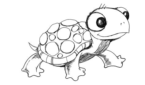 Baby Sea Turtle Drawing At Getdrawings Free Download