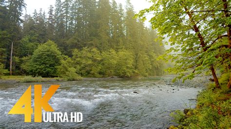4k Relaxing River Scenery Olympic National Park 10bit Color Video