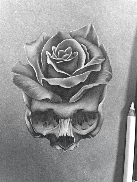 Roses tattoo drawing at getdrawings free download. Realistic Rose Drawing at PaintingValley.com | Explore collection of Realistic Rose Drawing