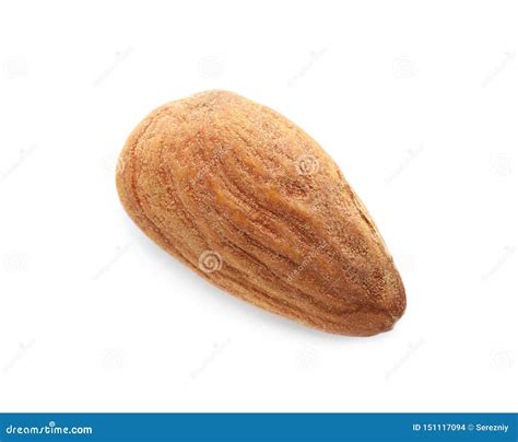Single Almond Nut On White Background Stock Photo Image Of Protein