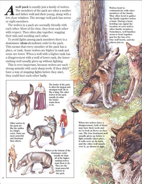 Wolves Zoobook | Zoobooks | 9780937934203