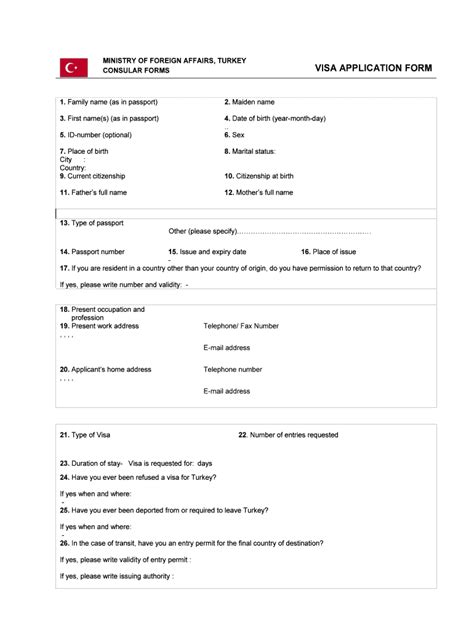 Visa Application Form 2020 Fill And Sign Printable Template Online