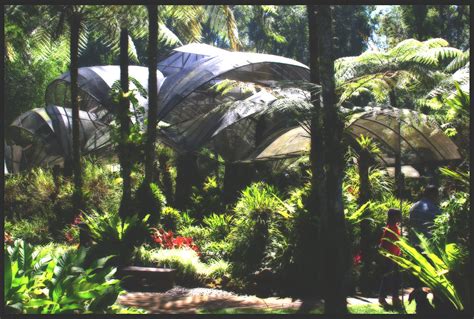 Taman Anggrek Orchid House At Bedugul Botanical Garden I Putu Agus