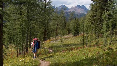 Detailed Banff Alberta Hikes Banff National Park