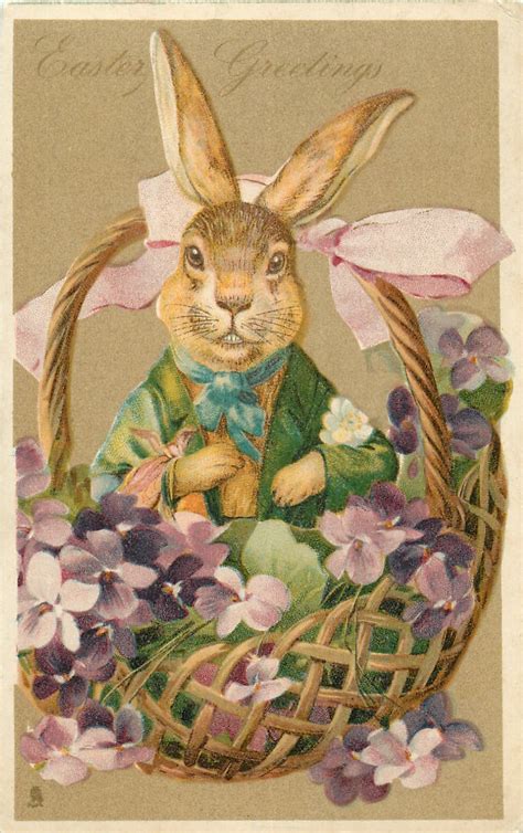 Full Sized Image Easter Greetings Rabbit Dressed In Green Sits In