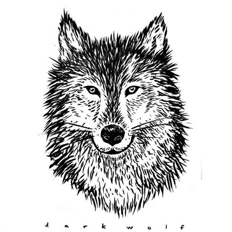 Line art hand drawing black wolf on white background painted multicolored with a black outline. 19+ Amazing Collection Of Wolf Drawing | Design Trends - Premium PSD, Vector Downloads