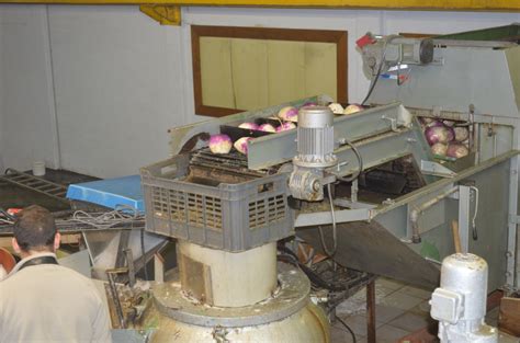 Fabrication raves salées Empiretory