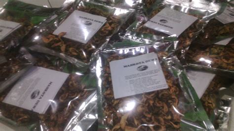 The latest tweets from kk bukit mertajam (@kkbukitmertajam). Produk Buah Mahkota Dewa Kering (Sabut & Isi Buah) di ...