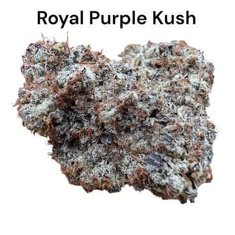 Royal Purple Kush