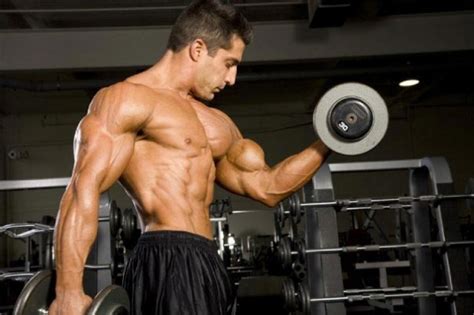 Best Biceps Workout For Your Arms Bodybuilding And Fitness Championships