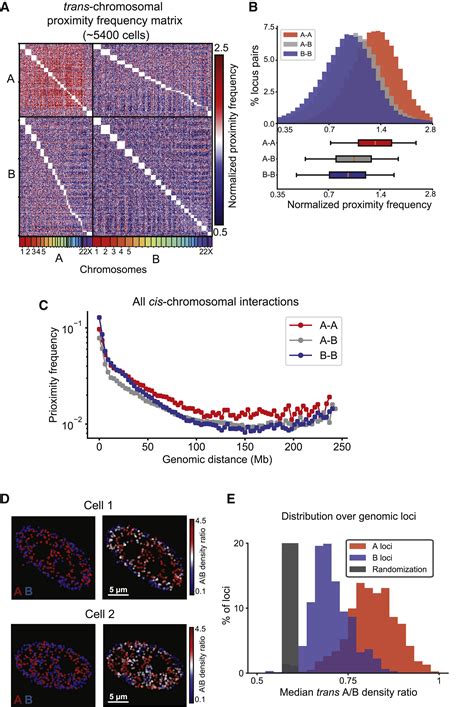 Genome Scale Imaging Of The 3d Organization And Transcriptional