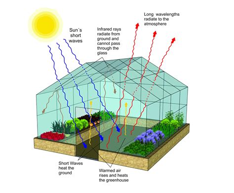 How Does A Greenhouse Workwebp
