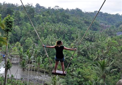 Bali Swing Combination With Tegenungan And Luwak Coffee Kuta Project Expedition