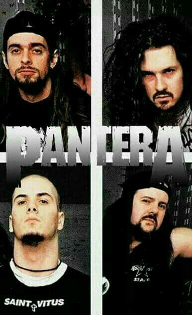 Pantera Pantera Heavy Metal Fotos De Banda