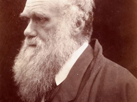 Charles Darwin Picture Of The Day Science The Guardian