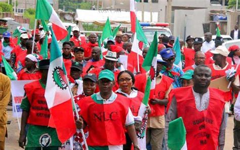 Strike Nlc Announces Next Line Of Action After Meeting With Tinubu Govt
