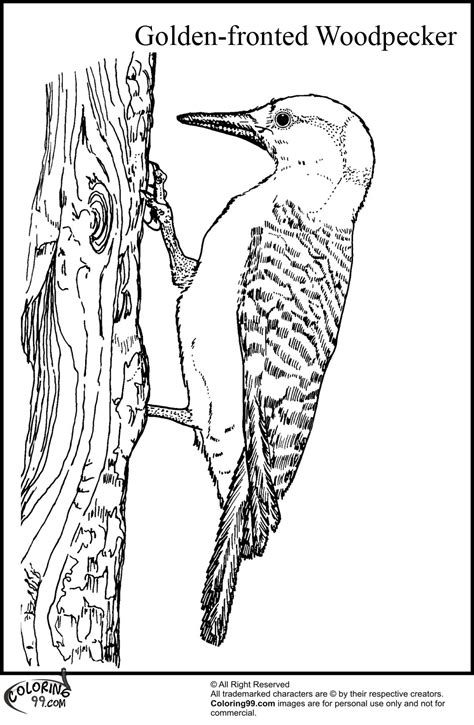Woody the woodpecker coloring pages. Woodpecker Coloring Pages | Team colors