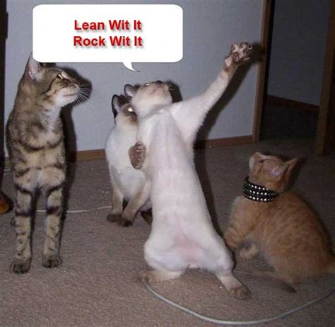 Check spelling or type a new query. Inspirational pictures and quotes, cat pictures, funny ...