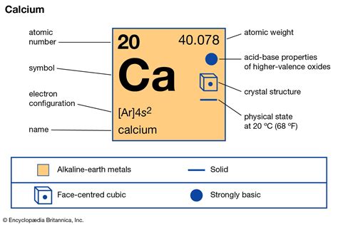 Calcium Students Britannica Kids Homework Help