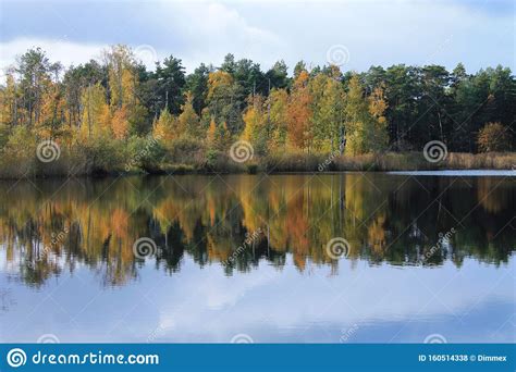 Beautiful Autumn Landscape Colorful Trees And Their Reflection In The