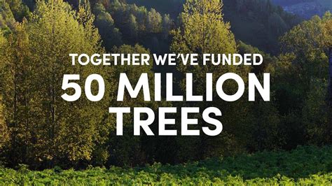 Weve Funded 50 Million Trees 🌱 Ecologi Youtube