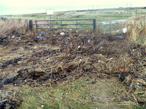 Barassie station hillhouse rd/gardens barassie ka10 6sa. The changing face of Barassie beach & Irvine Bay